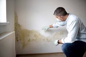 Why You Should Choose Our Mold Remediation Services in Crestwood Village, NJ